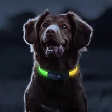 LitosPet - LED Hundehalsband